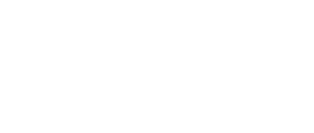 Prism SG Logo White