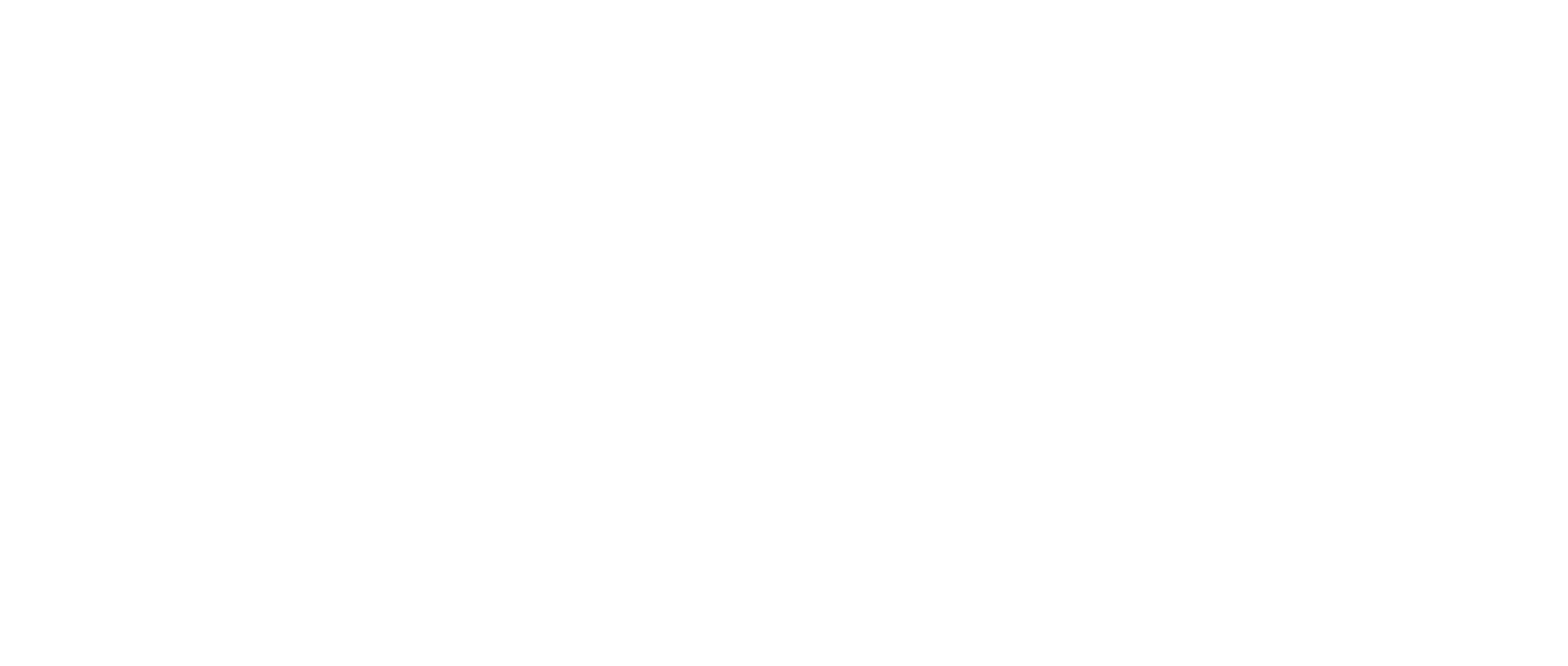 Prism SG Logo White